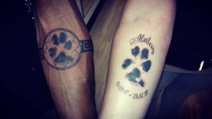 freewill.art_1750617753384